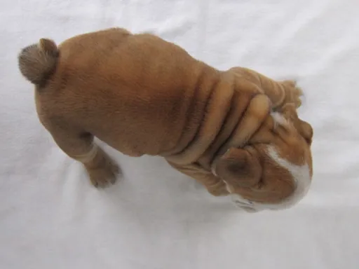 ブルドッグのサムネイル画像3