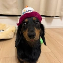 藤田様0