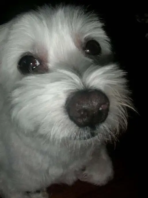 『Ball Chai』
香港のCherrieさんからの投稿です 